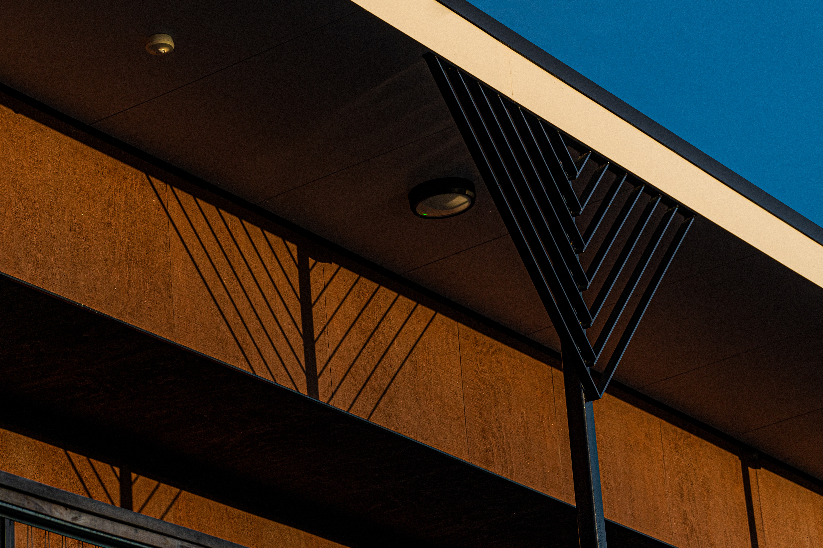 5 Te Kotukutuku Nikau column Damien Nikora 5