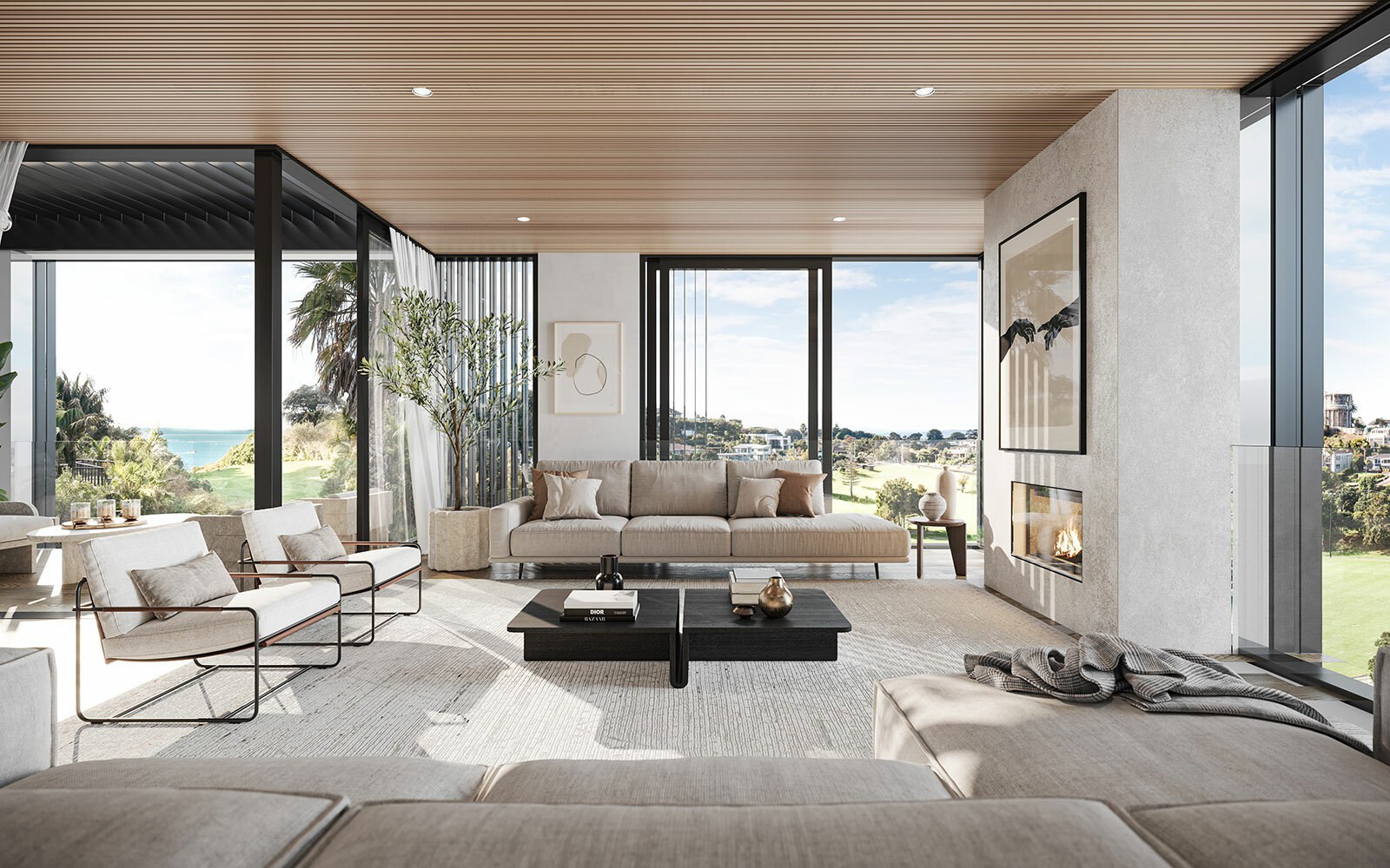 M05 The Rise Apartment C Living lr